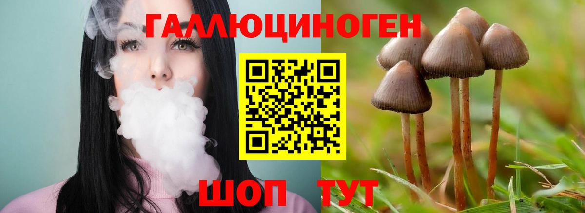 ГАШ Мелеуз
